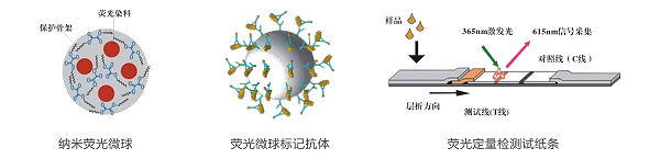 β-內(nèi)酰胺類(lèi)熒光定量快速檢測(cè)卡/試紙條 β-內(nèi)酰胺類(lèi)熒光定量快速檢測(cè)卡/試紙條